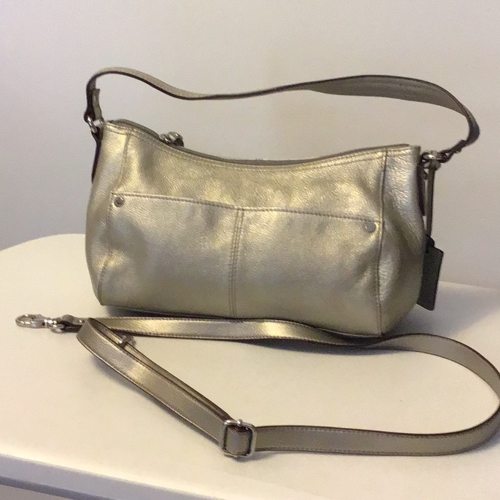 Silver Tignanello purse